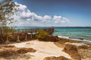 Prison Island (Zanzibar)